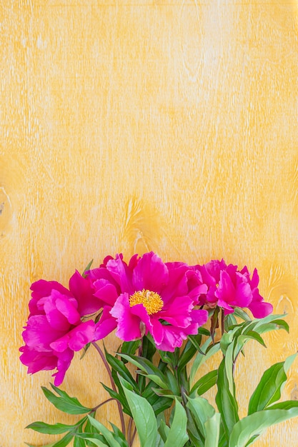 Peonías rosas brillantes en una mesa de color amarillo claro