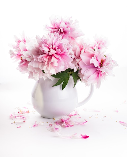 Peonías rosas en florero aislado en blanco