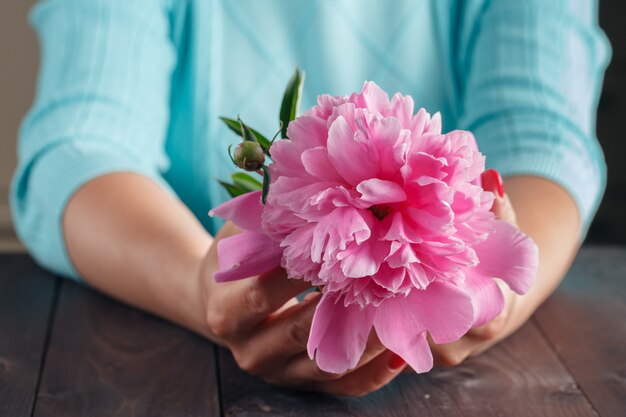 Peonías rosas en manos de mujer en mesa de madera envejecida