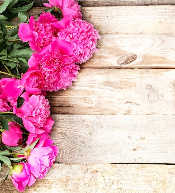 peonías rosas sobre fondo de madera