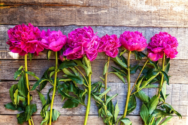 peonías rosas sobre fondo de madera