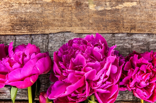 peonías rosas sobre fondo de madera