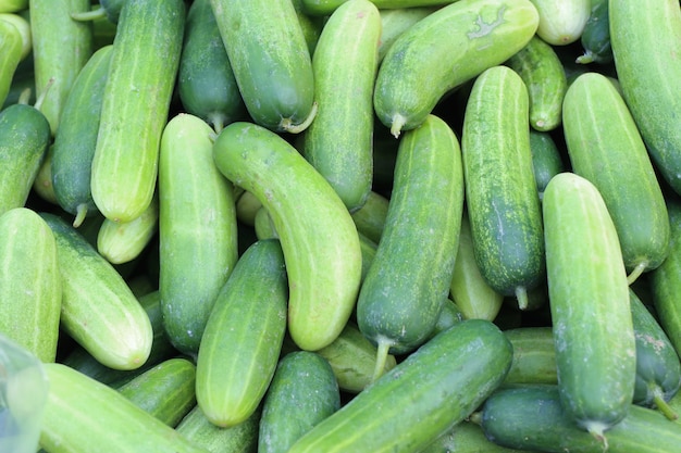 pepino en la comida de la calle