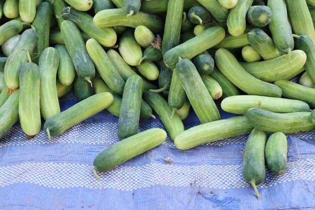 pepino en la comida de la calle