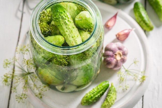 Pepino em conserva caseiro e saboroso com sal de alho e endro