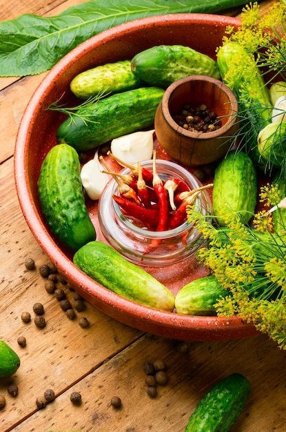 Pepino em conserva e ingredientes caseiros