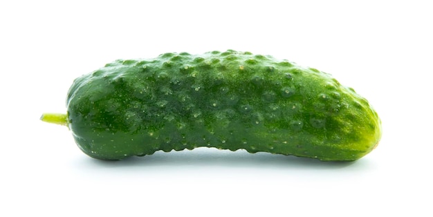 Pepino fresco aislado en el fondo blanco