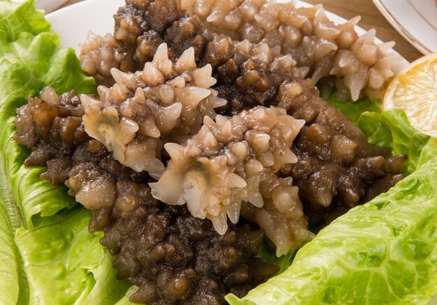 Pepino de mar seco empapado con pepino de mar secado