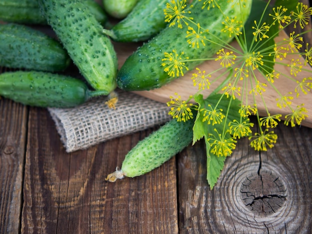 Pepino sobre fondo de textura de mesa de madera oscura Pepinos para ensaladas o conservas de verduras de verano Agricultura orgánica en el pueblo