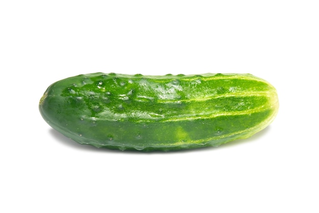 Pepino verde isolado