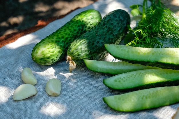 Pepinos fatiados com ervas e alho