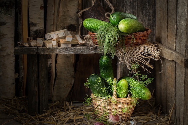 pepinos frescos em uma cesta de vime. Comida vegetariana