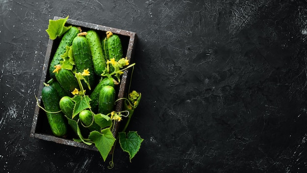 Pepinos frescos con hojas en una caja de madera Vista superior Espacio libre para su texto