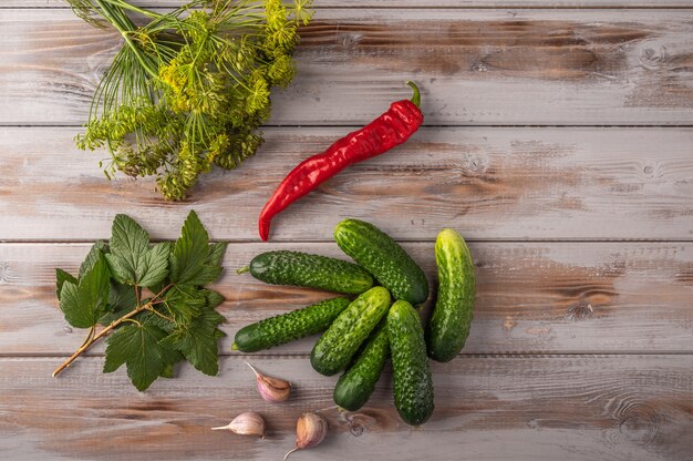 Pepinos frescos, pimiento rojo, ajo, eneldo, hojas de grosellas en una madera