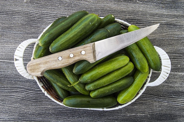 Pepinos de jardín natural un cuchillo y un cubo de verduras lleno de pepinos