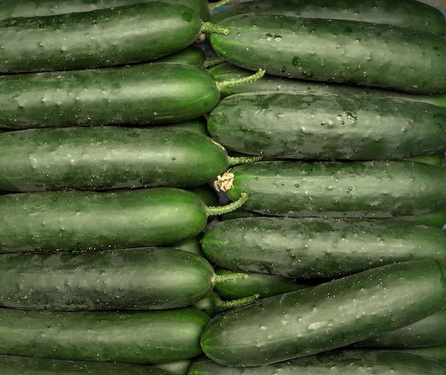 Pepinos verdes oscuros grandes enteros dispuestos en caja, exhibidos en el mercado de alimentos, vista desde arriba