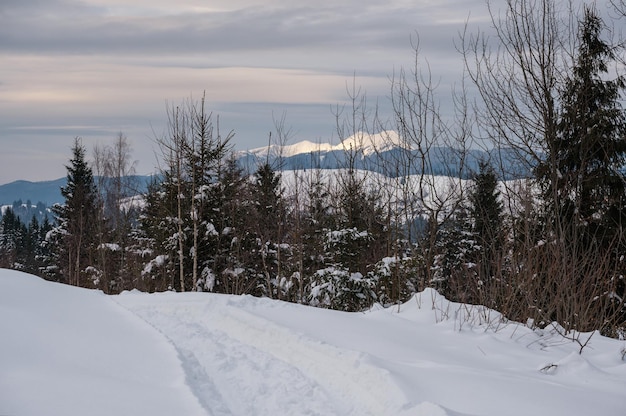 Pequena aldeia alpina e montanhas nevadas de inverno na última luz do sol ao redor de Voronenko Carpathian Ucrânia