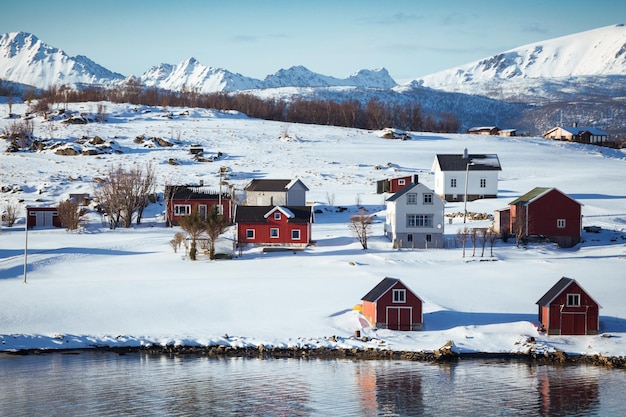 Foto pequena aldeia norueguesa à beira do fiorde