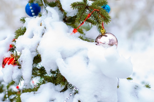 Pequena árvore de Natal verde coberta de neve. Férias de inverno, um símbolo do ano novo e do Natal.