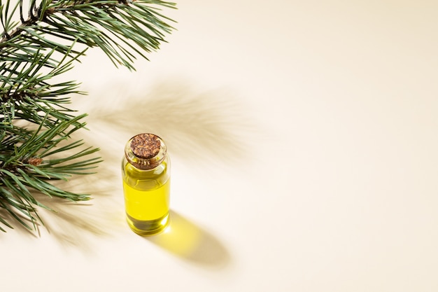 Pequeña botella de vidrio de aceite esencial de pino con rama de pino y sombras sobre fondo beige. Concepto de aromaterapia y spa. Copie el espacio para el texto.