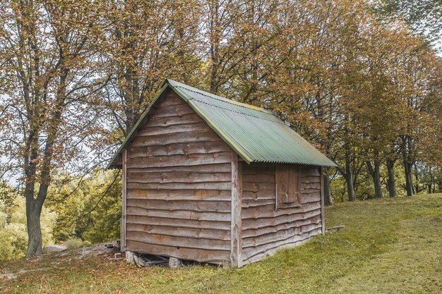 pequeña cabaña abandonada en el bosque de otoño