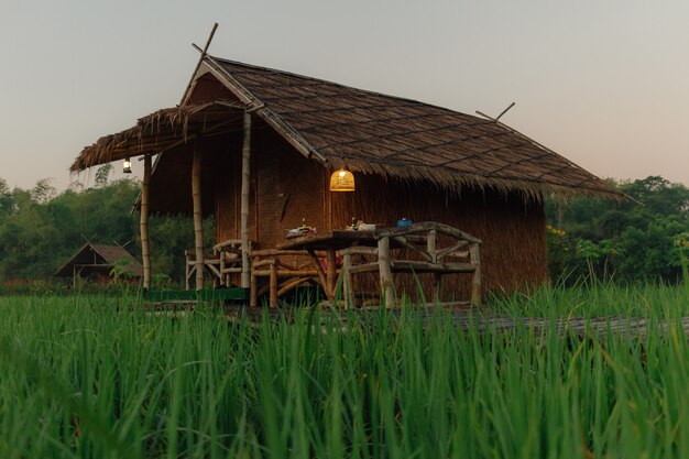 Pequeña cabaña en el campo de arroz con amanecer.