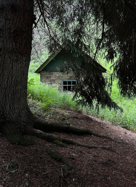 Pequena cabana de conto de fadas na floresta a casa de um guarda florestal