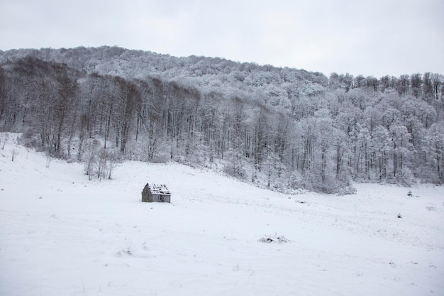 Pequeña cabaña de madera en el bosque de montaña cubierto de nieve