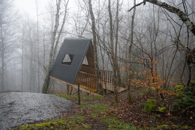 Pequeña cabaña en la naturaleza en un día de niebla