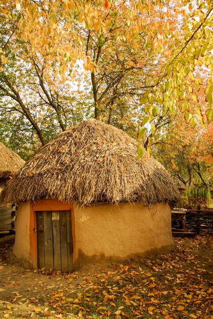 Foto pequeña cabaña para el refugio hecha en estilo simple a la vista