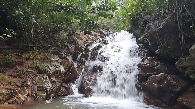 Pequena cachoeira em floresta tropical Água em cascata sobre rochas em uma piscina cercada por vegetação verde exuberante