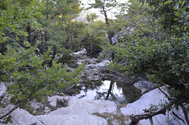 pequena cachoeira em pedras lago em pedras férias de verão