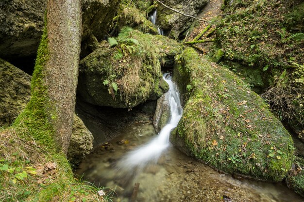 Foto pequena cachoeira flui através de uma floresta de conto de fadas