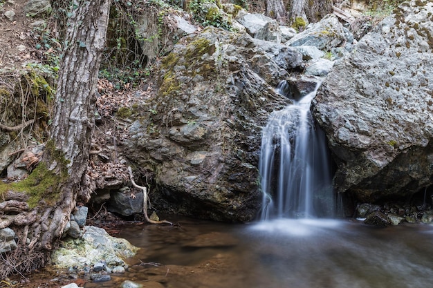 Pequena cachoeira nas rochas da floresta