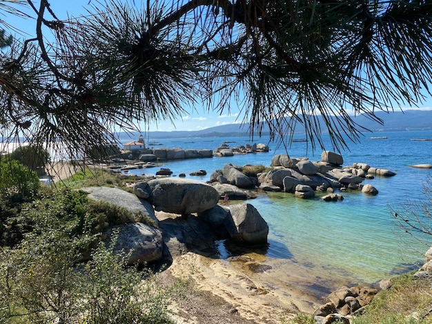 Pequeña cala escondida en la isla de Arosa Galicia España Formaciones rocosas en la playa Faro detrás de las hojas del árbol al final