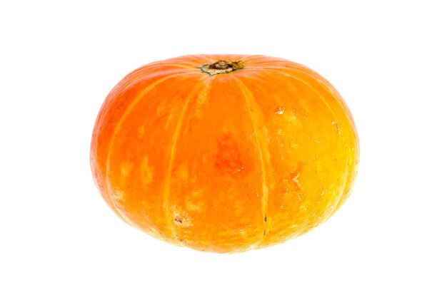 Pequeña calabaza naranja aislada sobre fondo blanco.