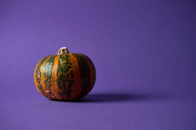 Pequeña calabaza texturizada en una pared púrpura. Decoración de halloween