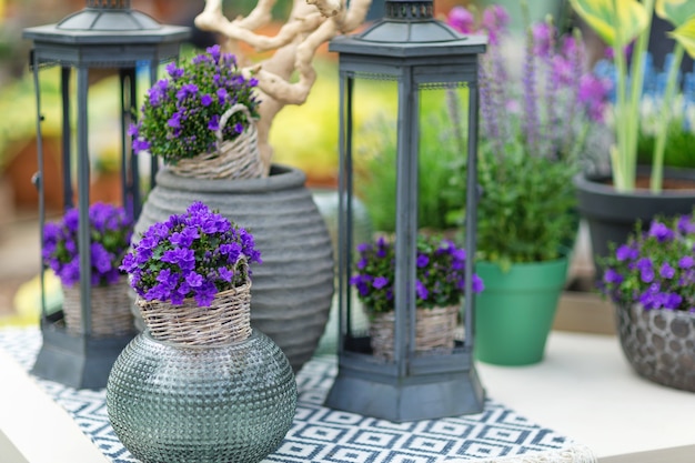 Pequena campanula de campânulas em vaso de flores na mesa com elementos decorativos