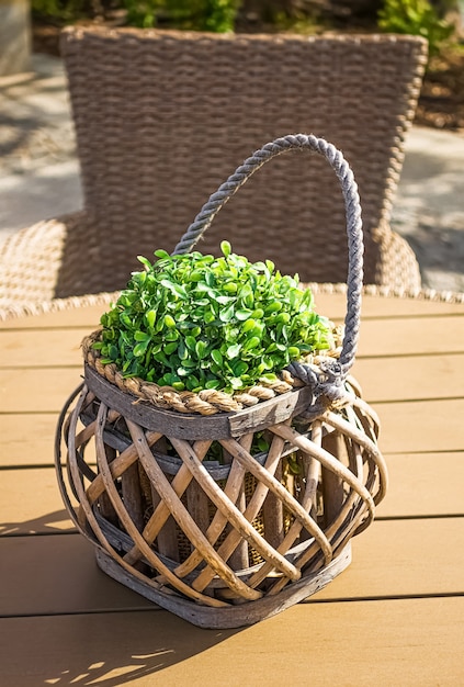 Pequeña canasta de madera decorativa con planta verde en la mesa al aire libre.