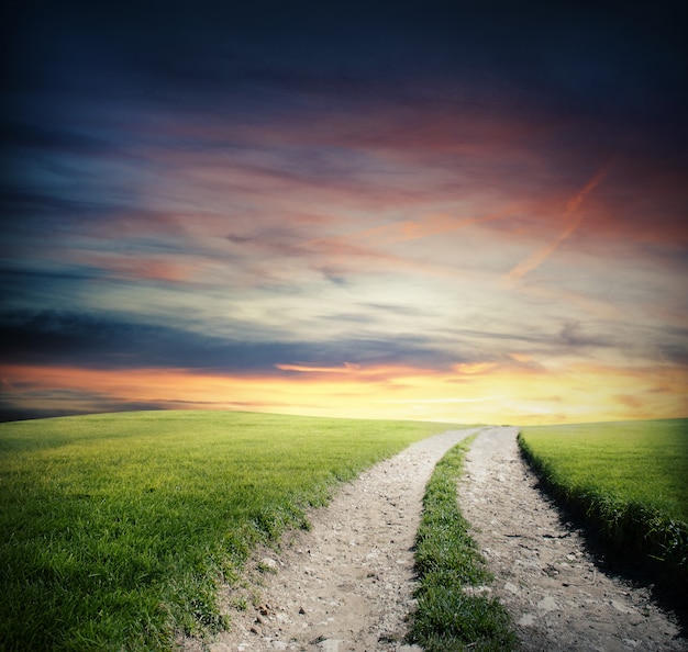 Foto pequeña carretera en el campo con hierba verde al atardecer