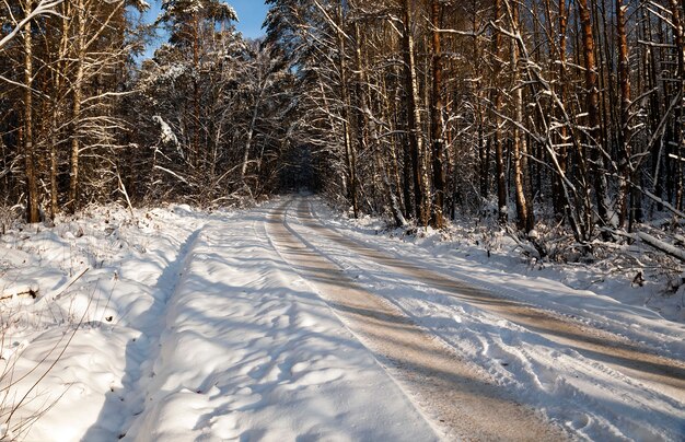 La pequeña carretera fotografiada en una temporada de invierno.