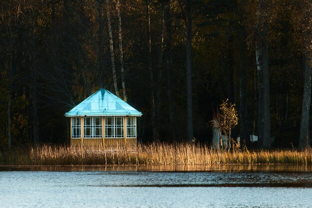 Pequeña casa en el bosque cerca de un lago