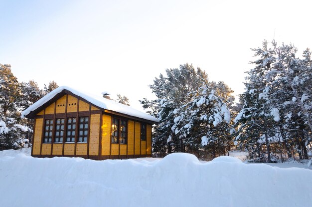 Una pequeña casa de campo en medio de un pinar cubierto de nieve