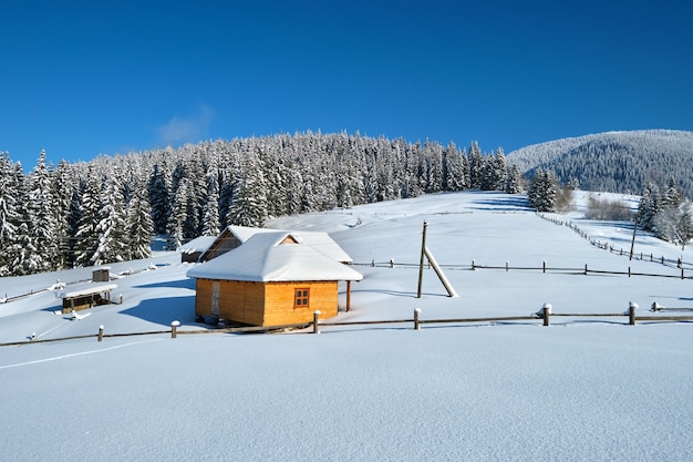 Pequena casa de madeira coberta com neve fresca caída rodeada de pinheiros altos nas montanhas de inverno.