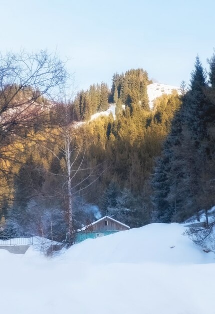 Una pequeña casa de madera se ahogó en la nieve en las afueras de un pueblo y bosque en invierno