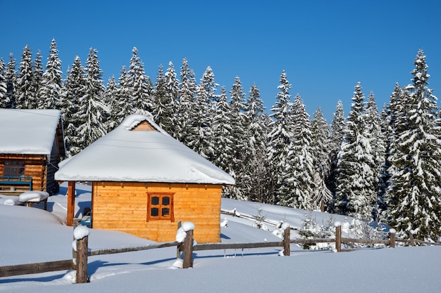 Pequeña casa de madera cubierta de nieve recién caída rodeada de altos pinos en las montañas de invierno.