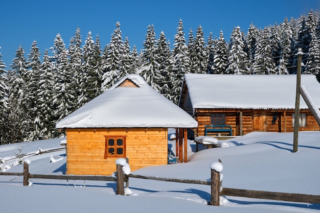 Pequeña casa de madera cubierta de nieve recién caída rodeada de altos pinos en las montañas de invierno.