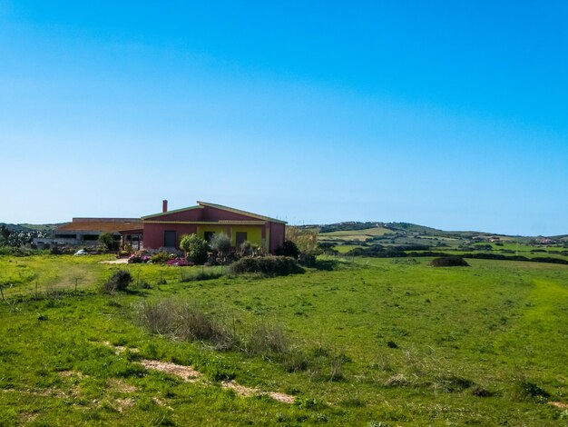 Pequeña casa morada en un prado