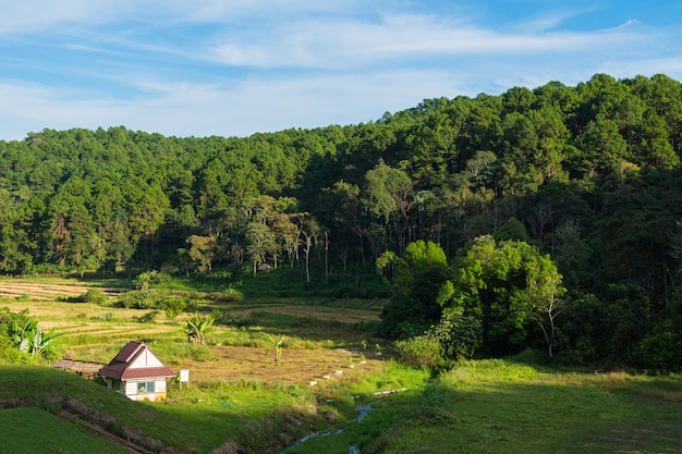 Foto pequena casa no gramado.