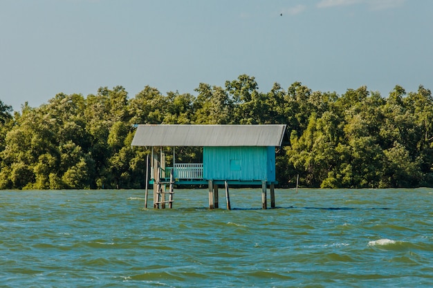 Pequeña casa de pescadores y bosque de manglares